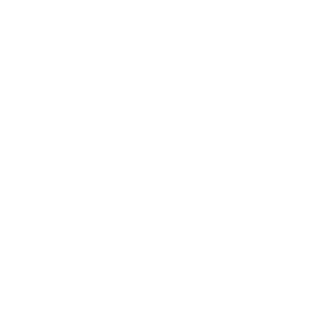 Bussines icon